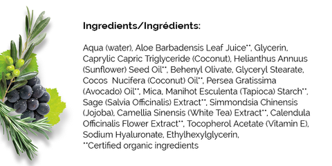 Perfect10_Primer_ingredient